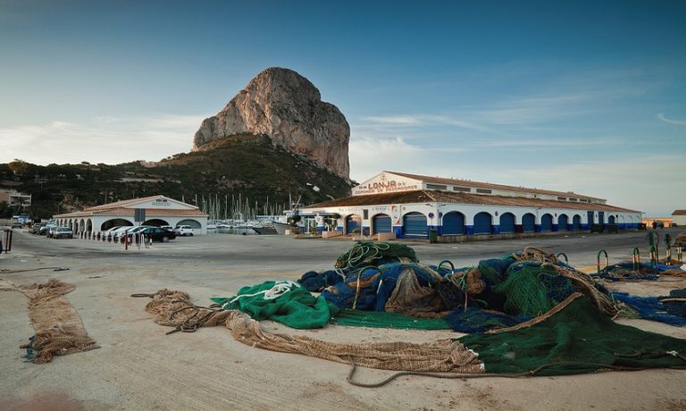 The Fish Market & Auction in Calpe: A Glimpse Into Local Life by the Sea