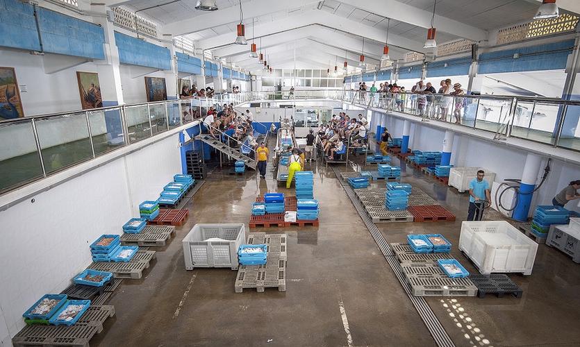 Fish buckets on the inside of the fish market in calpe