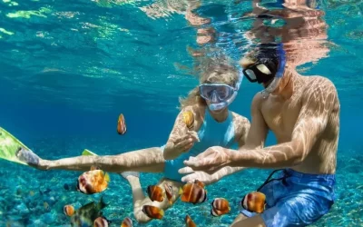 Snorkeling Spots on the Costa Blanca: Clear Waters & Hidden Coves