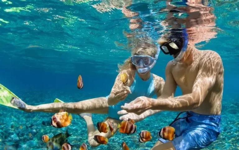 Snorkeling Spots on the Costa Blanca: Clear Waters & Hidden Coves