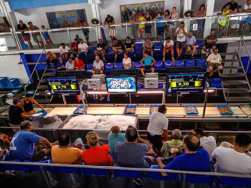 On-going fish auction at the lonja of Calpe fish market