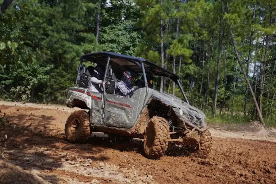 Shaka Buggy Enhanced Adeslas office interior in Altea