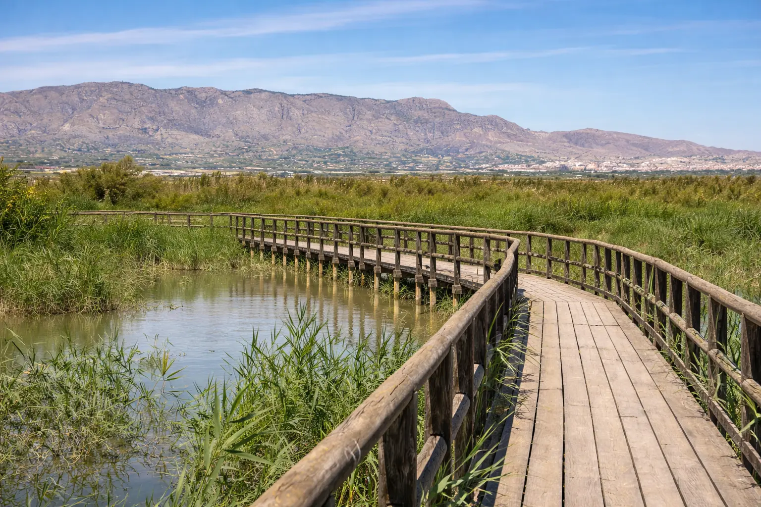El Hondo Natural Park Boardwalk and Wetlands Landscape in Alicante Wooden boardwalk through El Hondo Natural Park wetlands with reeds, water lagoons and mountains in the background on the Costa Blanca